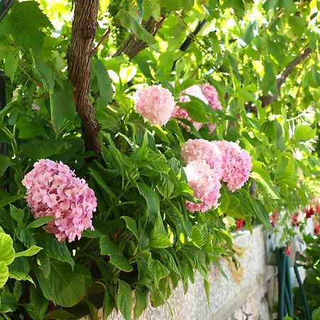 Alaburic Rooms & Apartment Mali Lošinj Eksteriør bilde